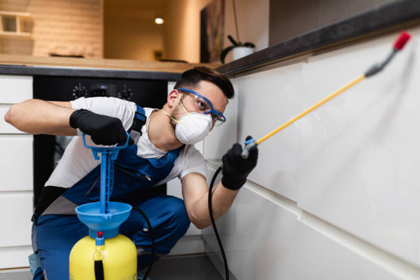 Best Affordable Pest Control Services  in Falling Water, TN