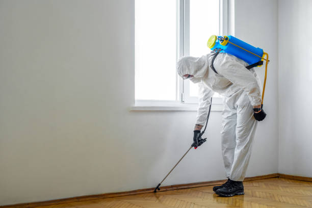 Best Pest Prevention Services  in Falling Water, TN