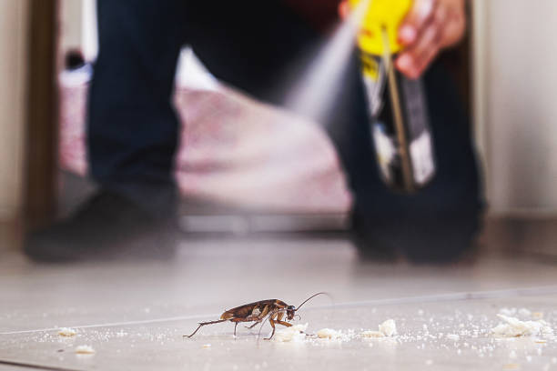 Best Pest Control Near Me in Falling Water, TN