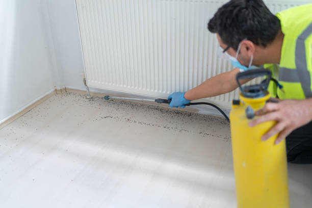 Best Pest Inspection Near Me  in Falling Water, TN