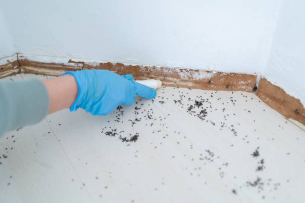 Professional Pest Control in Falling Water, TN