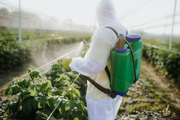 Best Flea Control Services  in Falling Water, TN